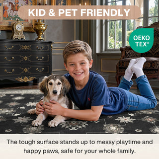 5x7/8x10/9x12 Boho Washable Area Rug, Farmhouse Vintage Ultra Thin Indoor Non-Slip Carpet for Living Room, Oeko-Tex Certified